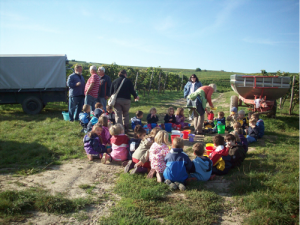 Ausflug in die Weinberge