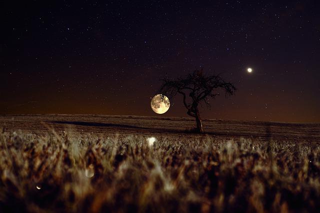 Krimiwanderung bei Vollmond
