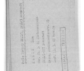 Emma Klein Deportationspapiere KZ Theresienstadt Quelle: Arolsen-Archives Emma Klein Deportationspapiere KZ Theresienstadt Quelle: Arolsen-Archives