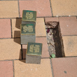 Stolpersteine der Familie Josef Vogel, Auf dem Römer 5-7; Foto H-M Schütz